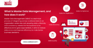 What is Master Data Management and how does it work?