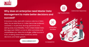 Why does an enterprise need Master Data Management to make better decisions and succeed?