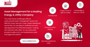 Asset Management for a leading Energy & Utility Company