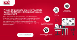 Proven Strategies to Improve Your Data Quality for Effective Enterprise Resource Management