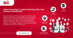 Data Cleansing vs. Data Cleaning: Why Your Business Needs Both
