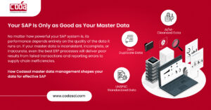 Your SAP Is Only as Good as Your Master Data