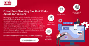 Prosol: Data Cleansing Tool That Works Across SAP Versions